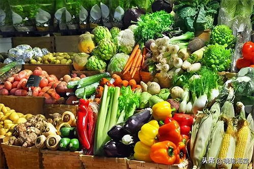 转基因食品 全球禁令与科学争议背后的真相